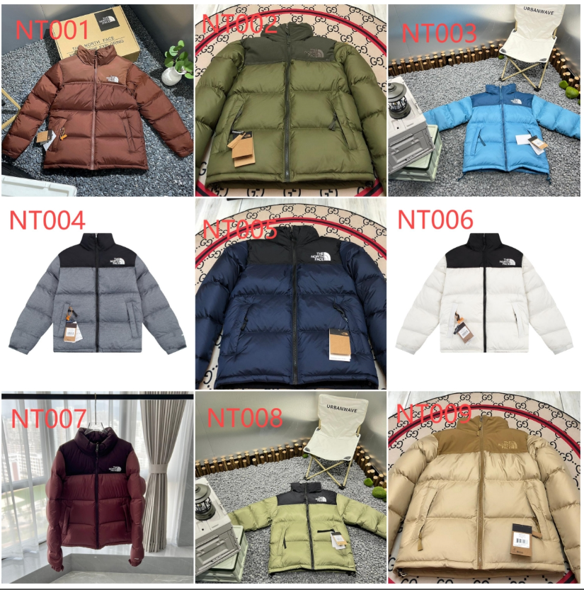 The North Face Down Jacket Collection for Men and Women